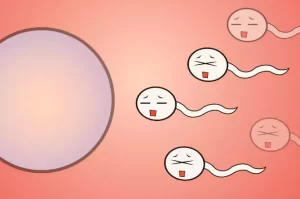 排卵異常
