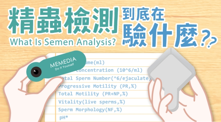 精蟲檢查 