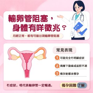 香港女性輸卵管造影後幾耐可以備孕？檢查後安排及醫生評估重點